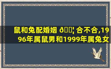 鼠和兔配婚姻 🐦 合不合,1996年属鼠男和1999年属兔女婚配